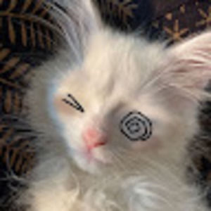 Meet your Posher, Joanne